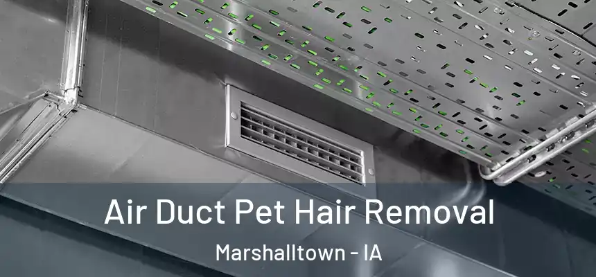  Air Duct Pet Hair Removal Marshalltown - IA