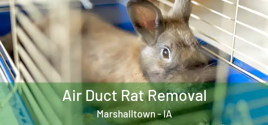 Air Duct Rat Removal Marshalltown - IA