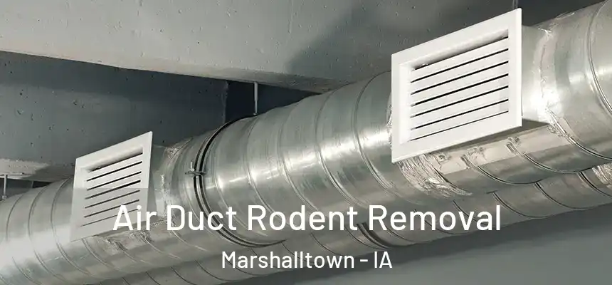  Air Duct Rodent Removal Marshalltown - IA