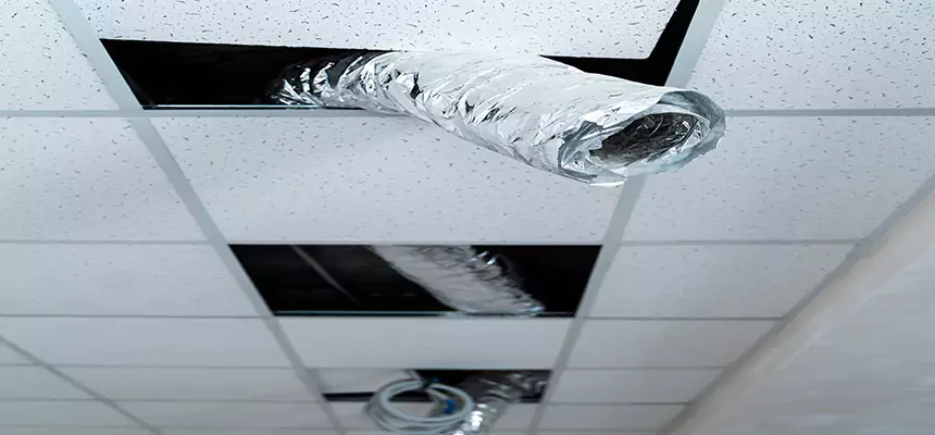 Our Air Duct Pet Hair Removal Services in Marshalltown, IA