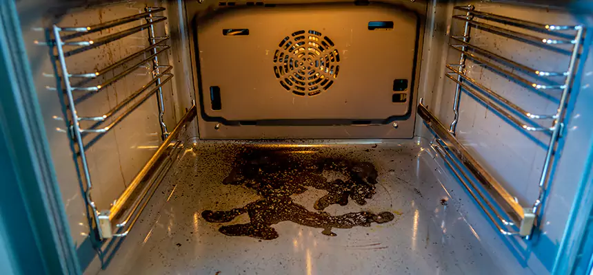 Our Dryer Vent Mold Cleaning Services in Marshalltown, IA