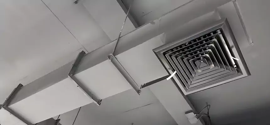 Our Rodent Droppings In Vents Services in Marshalltown, IA