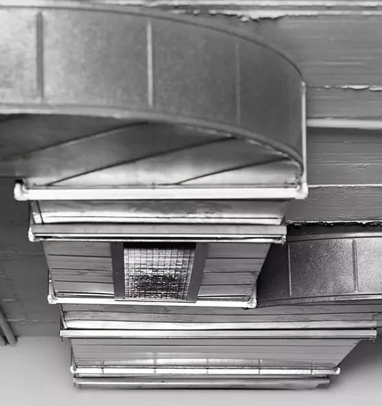 Professional Air Duct Pest Removal in Marshalltown, IA