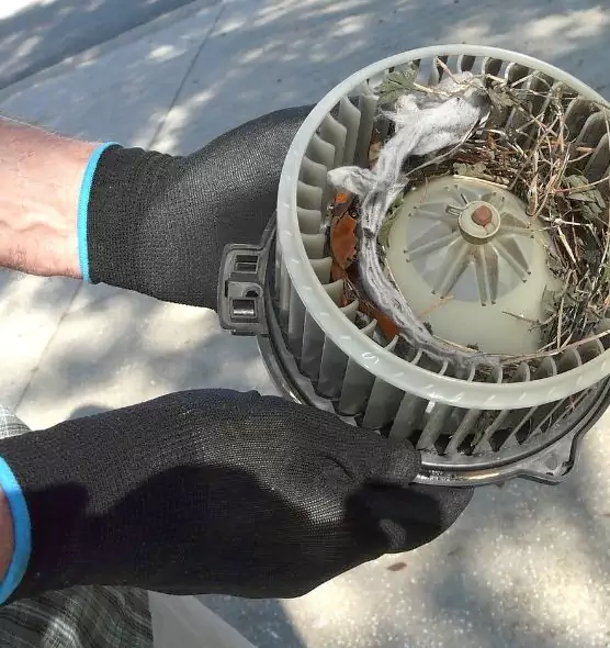 About Air Duct Rat Removal in Marshalltown, IA