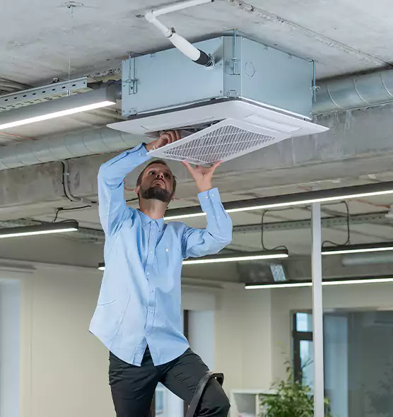 Advanced Rodent Droppings In Vents in Marshalltown, IA