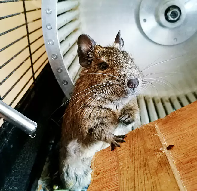 Why Homeowners & Businesses Trust Us Marshalltown, IA