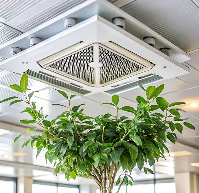 Why Homeowners & Businesses Trust Us in Marshalltown, IA?